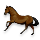 File:Horse.png