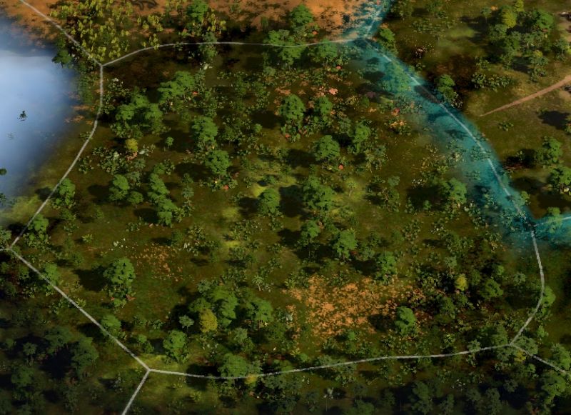 File:Tropical Forest.jpg